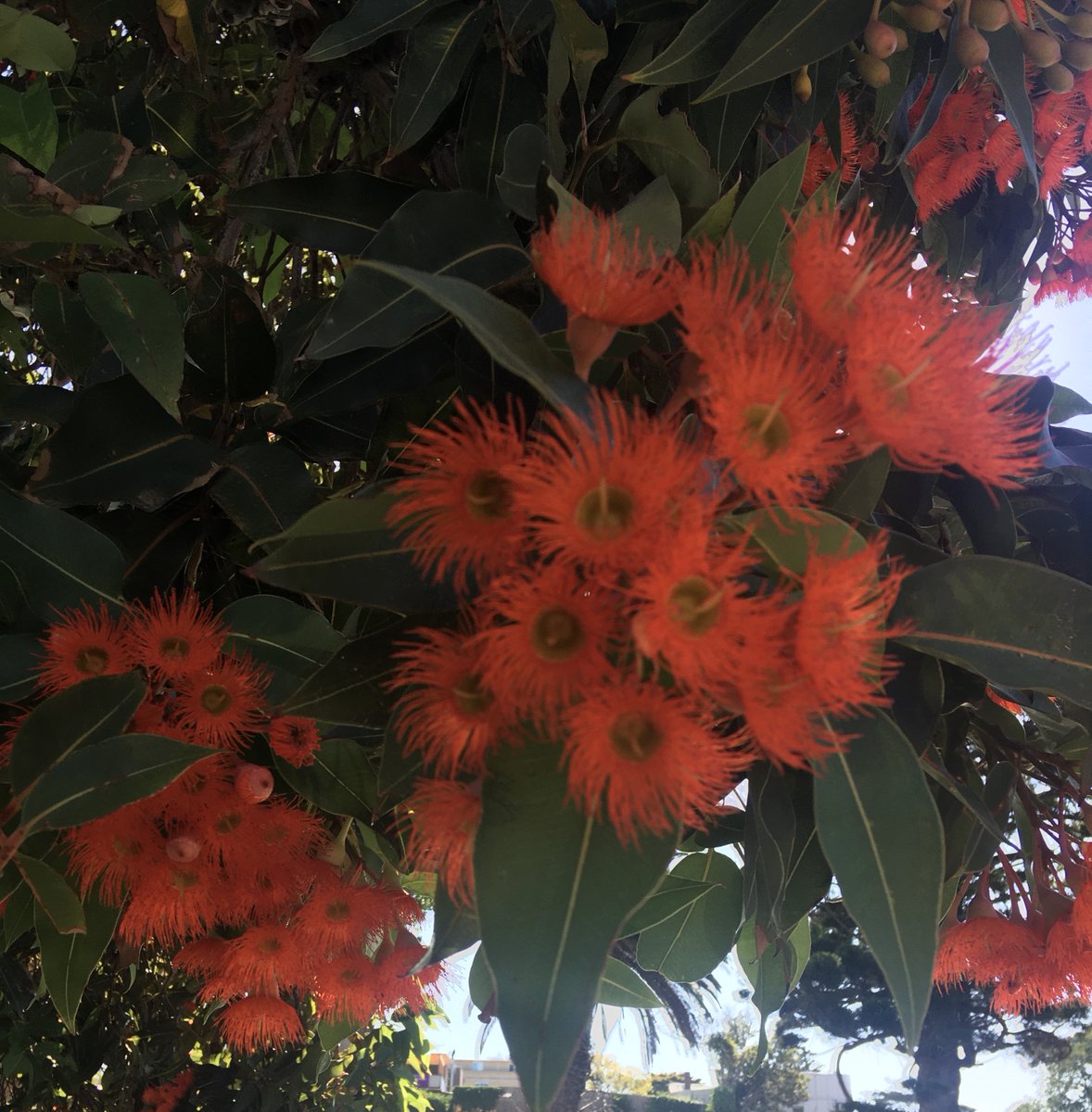 Dr Yotti Kingsley @yottikingsley.bsky.social tweet media