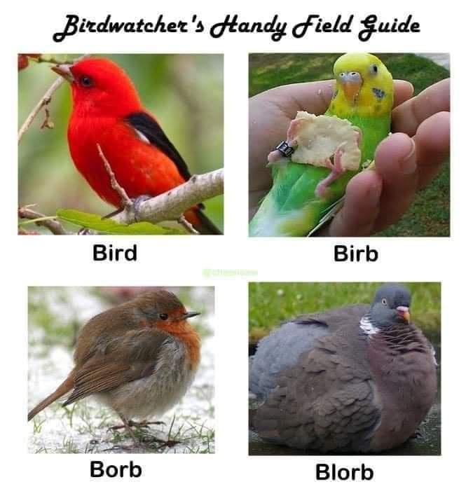 Emily S. Davidson (@esd108) on Twitter photo 