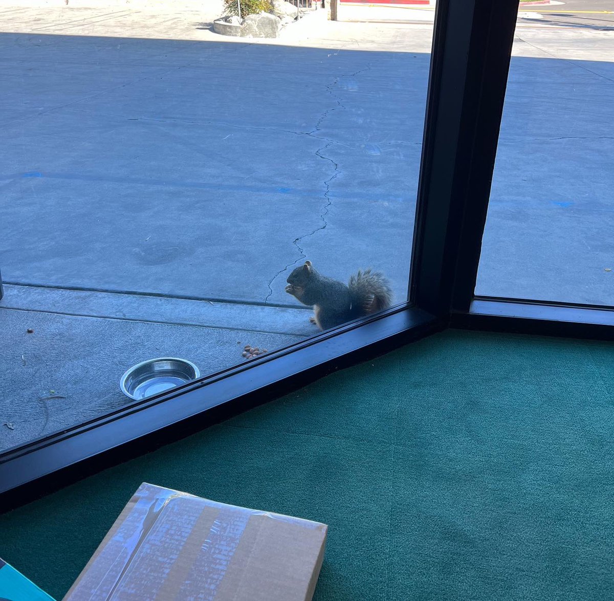 LA Waldo tweet media