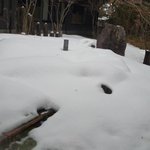 ꧁ひろぴぃ꧂のツイート画像