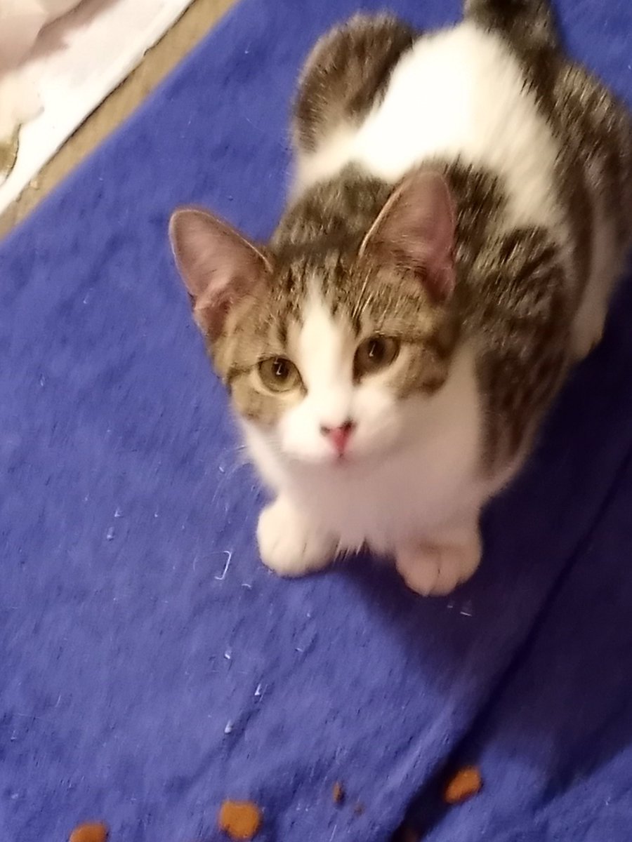 All mom did was open the door when it was 6 degrees outside and suddenly there is another baby in the house. I love babies