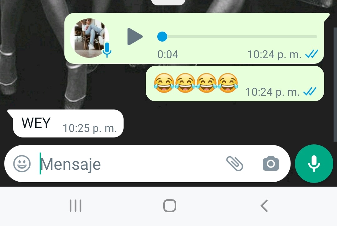 FERNANDA tweet media