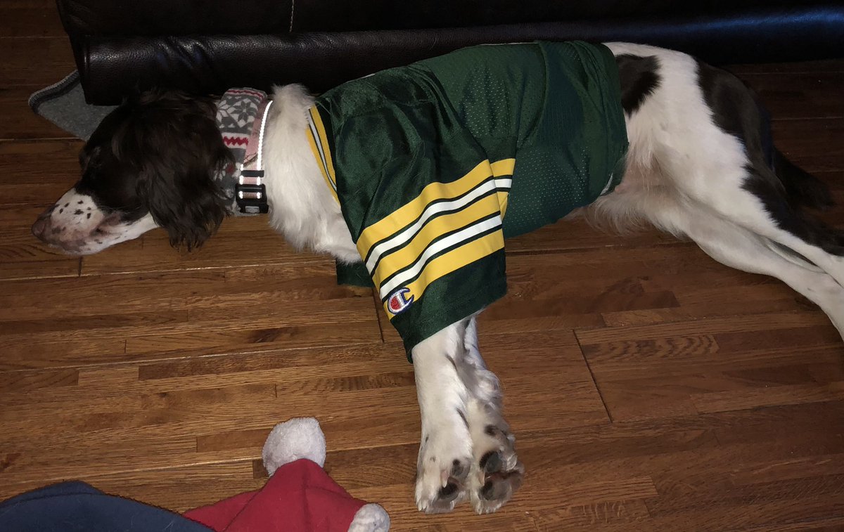 Kirk_Uttech's tweet photo. @packers look what you did to my dog https://t.co/ON9EVK4rDs