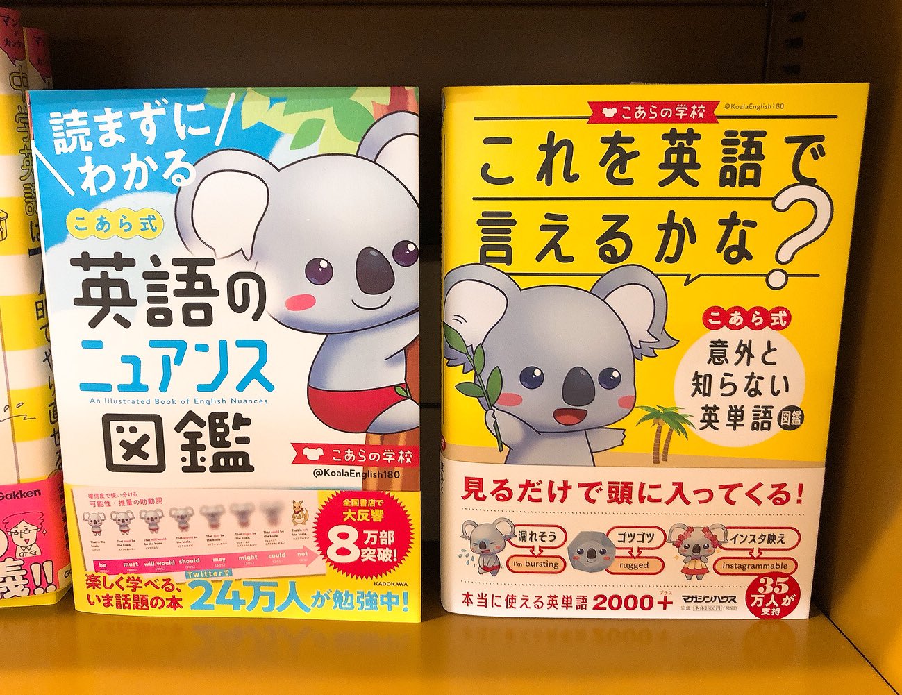 丸善 高島屋堺店 かわいいイラストで直感的に頭に入る英単語学習書 これを英語 で言えるかな こあら式意外と知らない英単語図鑑 入荷しています 大人になってから英語をやりなおしたい人はもちろん 英語力に自信のある上級者さんもチャレンジしてみて