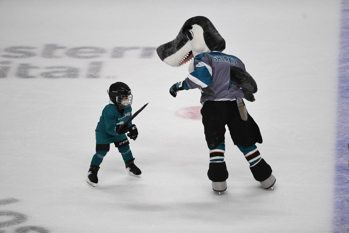 SanJoseSharks's tweet photo. A look at how tonight's @SJSharkie celebration is going 🤩🎉 https://t.co/cdhj2nW7Lf