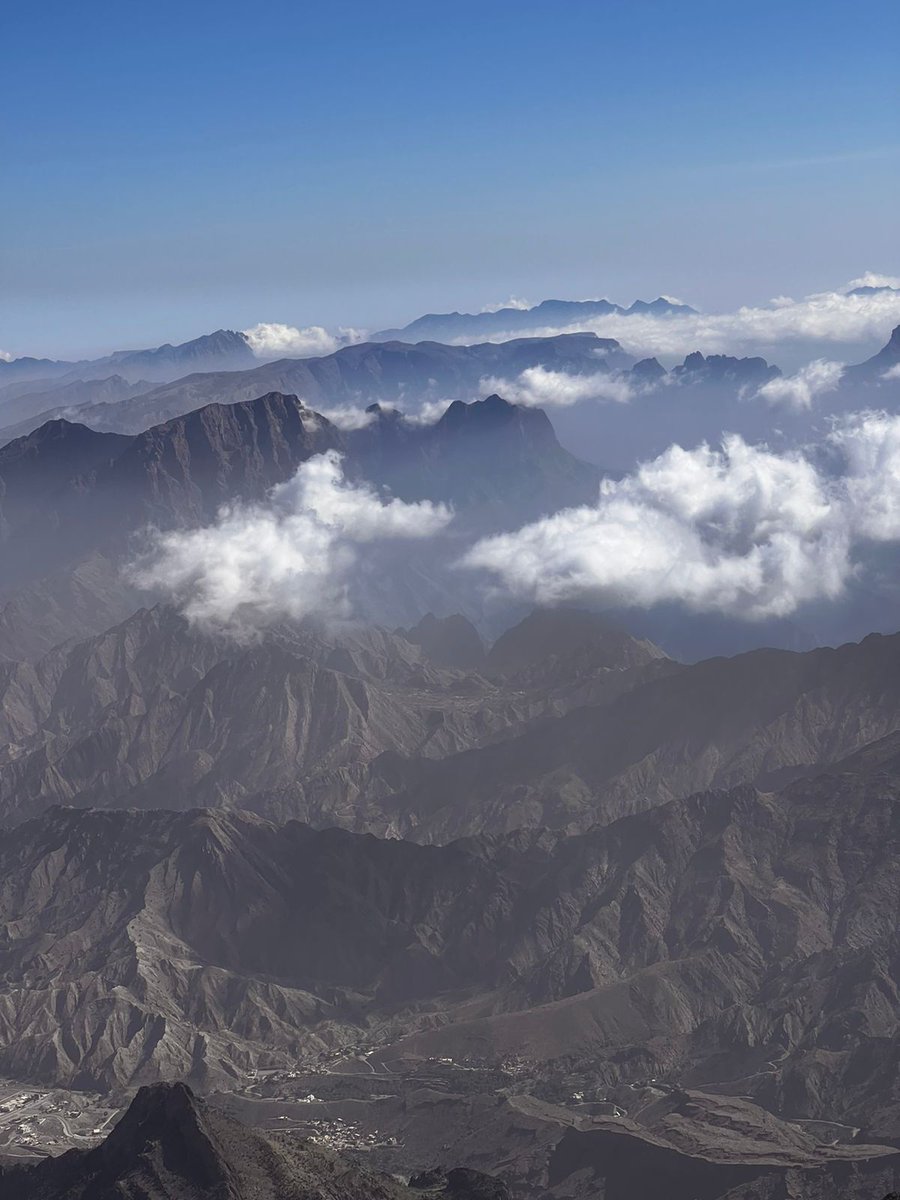 هاوي للطبيعه tweet media