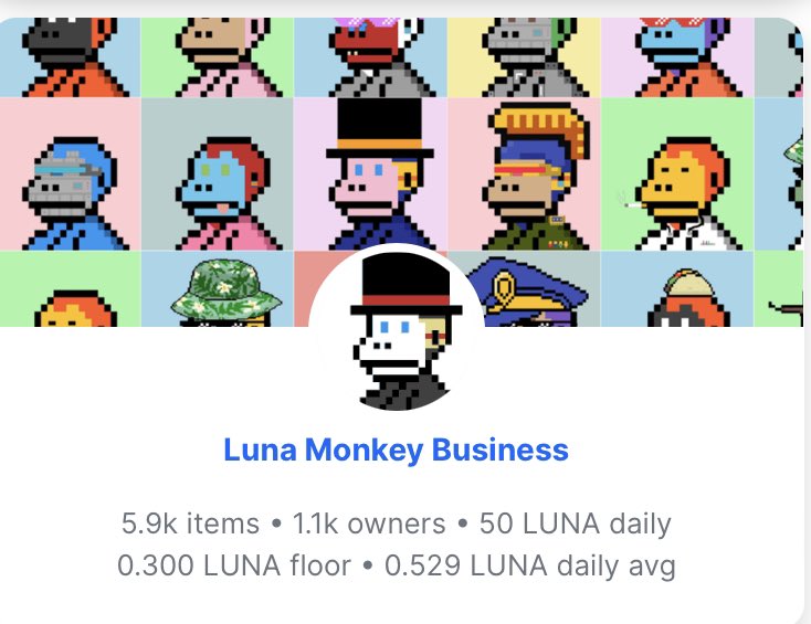 Monkey Republic tweet media