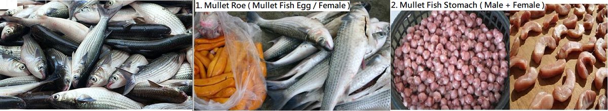 mitautotech's tweet image. ฉันขอถามคุณว่าคุณสามารถจัดหา Mullet Roe และ Gizzard จำนวนมากได้หรือไม่?

คุณช่วยแนะนำเราด้วยข้อเสนอที่ดีที่สุดของคุณ CIF สนามบินเถาหยวน, ไต้หวัน ?

คลินท์ / เซลล์：886-970 118 182/ mitautotech@gmail.com / Wechat: clint591012 Whatsapp:+886983209032