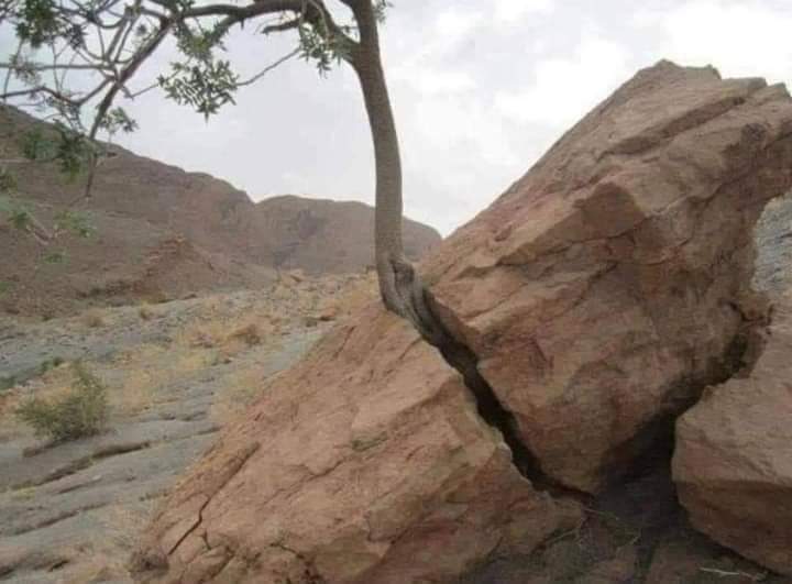 ﴿إِنَّمَا أَمْرُهُ إِذَا أَرَادَ شَيْئًا أَنْ يَقُولَ لَهُ كُنْ فَيَكُونُ﴾.. ❤️🤲
#صباح_الخير