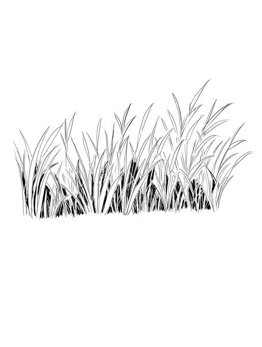 草が下手すぎて髪の毛が地面から生えてるみたいになってたので練習✍️一個前にリツイートした #hanari0716 さんの方法でやってみたらそれっぽく出来た❗️ #絵 #イラスト #漫画家志望 #草原の絵 #絵上手くなりたい