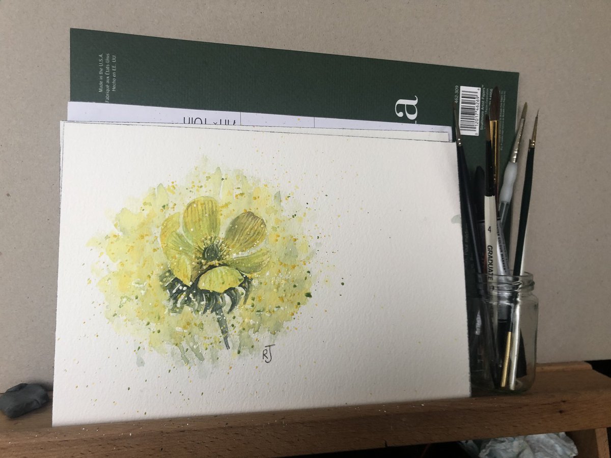 a-watercolour-a-day tweet media