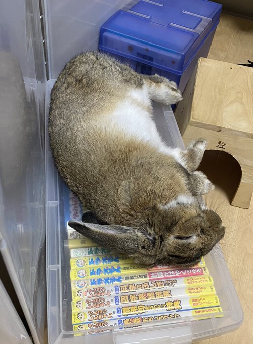 子育て1 Yuu Media Town Blog Archives