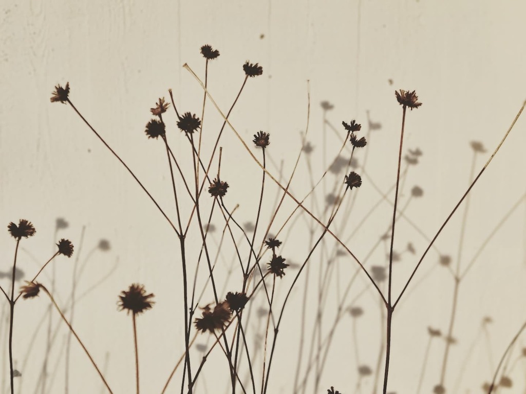 eliegardner's tweet photo. The barren beauty of winter #mandal #sørlandet https://t.co/w1eJwvsV1U https://t.co/PUm1y29kFB