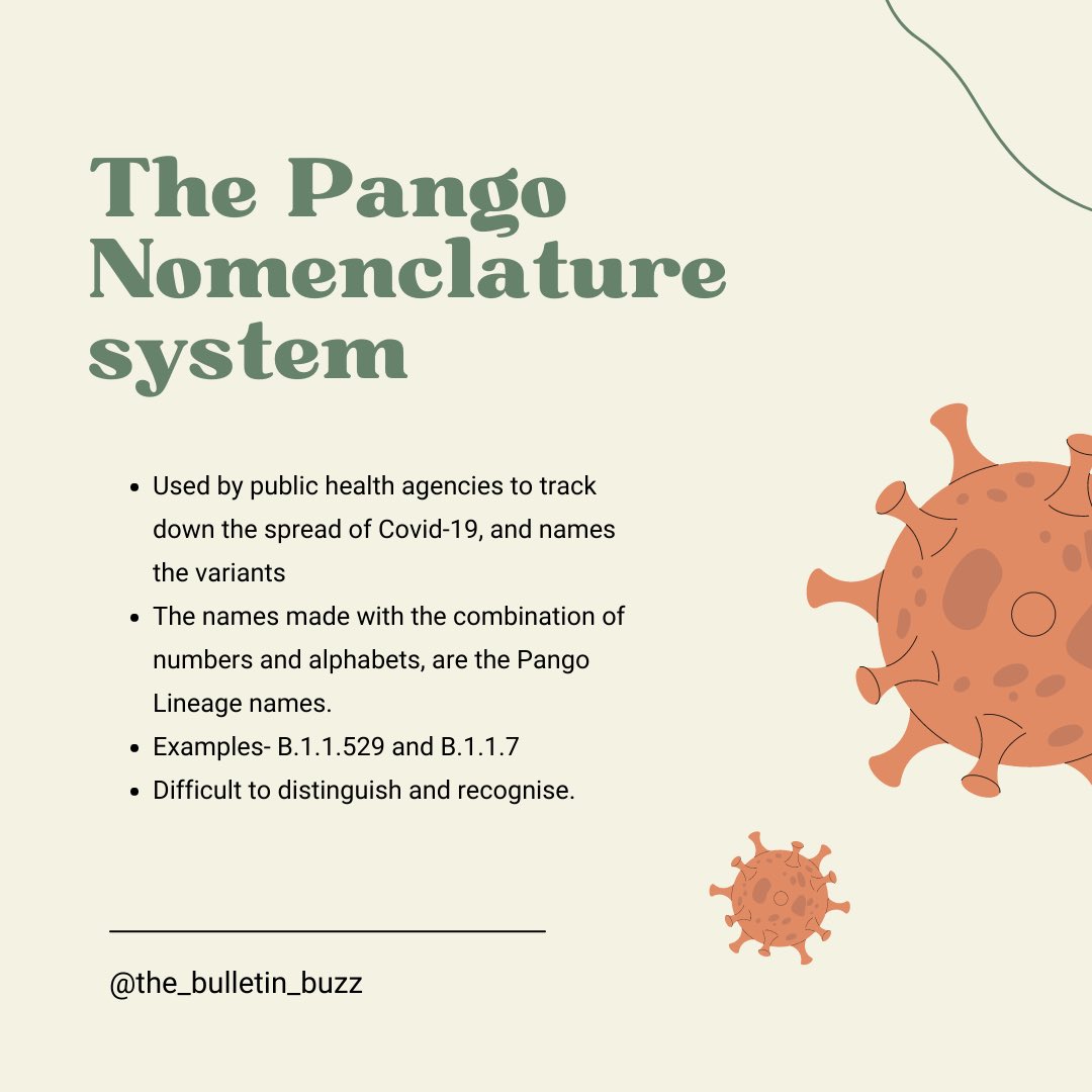 buzz_bulletin's tweet photo. Have you ever wondered how the covid variants like Omicron and Delta are named? Here’s how!

#onlinenewsletter #thebulletinbuzz #tbb #articles #newsupdates #weeklyarticlesyy #headlines #news #variant #covid19 https://t.co/HQHRdAlen1