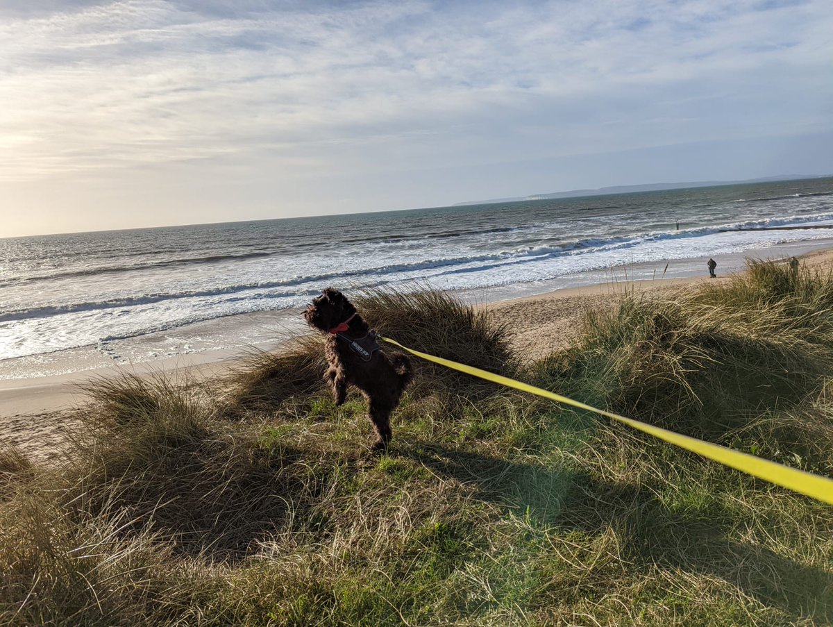 Sea patrol! 🏴‍☠️☠