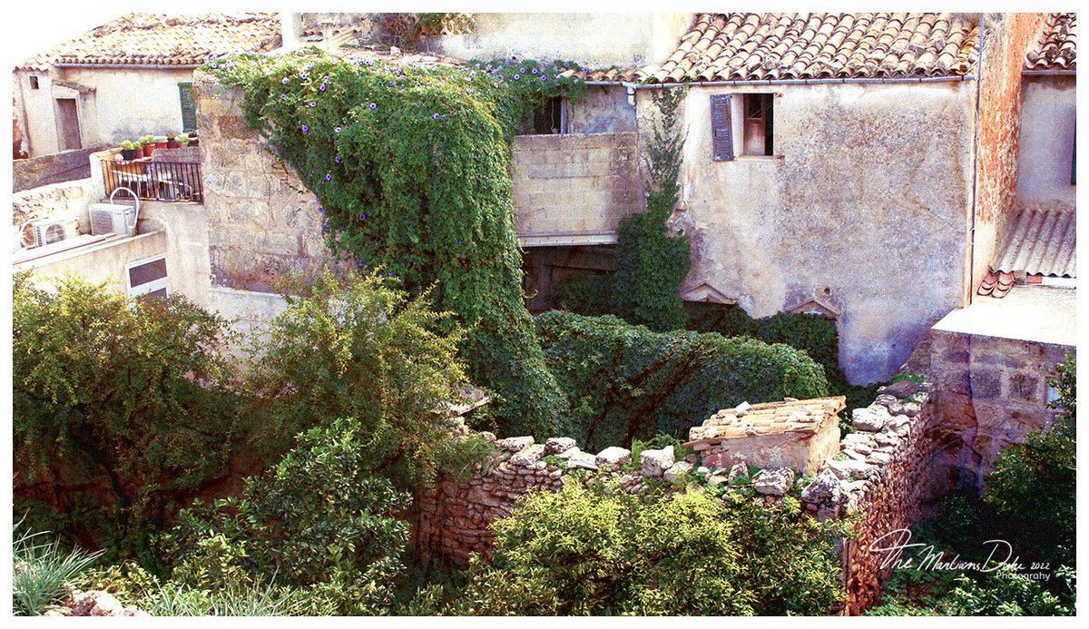 TheMartiansDuke's tweet photo. Tuinen in Alcúdia, @Mallorca vanaf stadsmuur - Gardens in @Alcudia, @Mallorca taken from city wall! https://t.co/FMf2Xhn6Lu