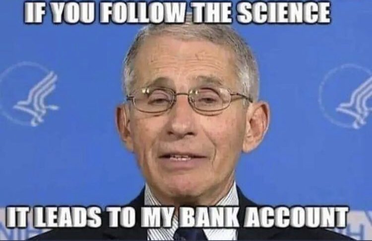 Sal the Agorist (@sallymayweather) on Twitter photo 