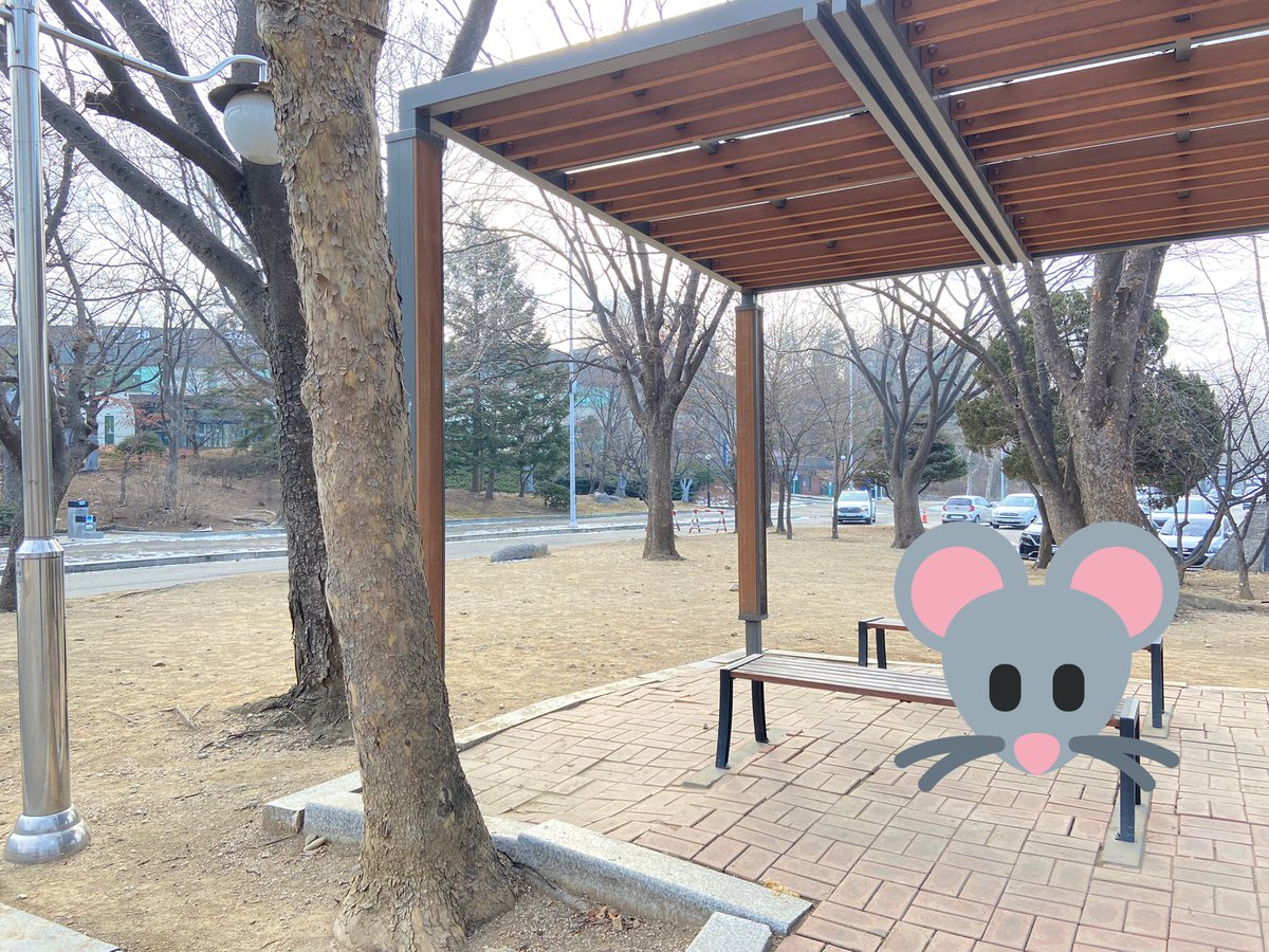 swoon0807's tweet photo. 💙

지금부터 5시까지 무료나눔 진행합니다
원하시는 판타지 분은 여기서 와주세요^^

#로운 #김석우 #SF9 #에스에프나인 #ROWOON https://t.co/XPojlggDBO