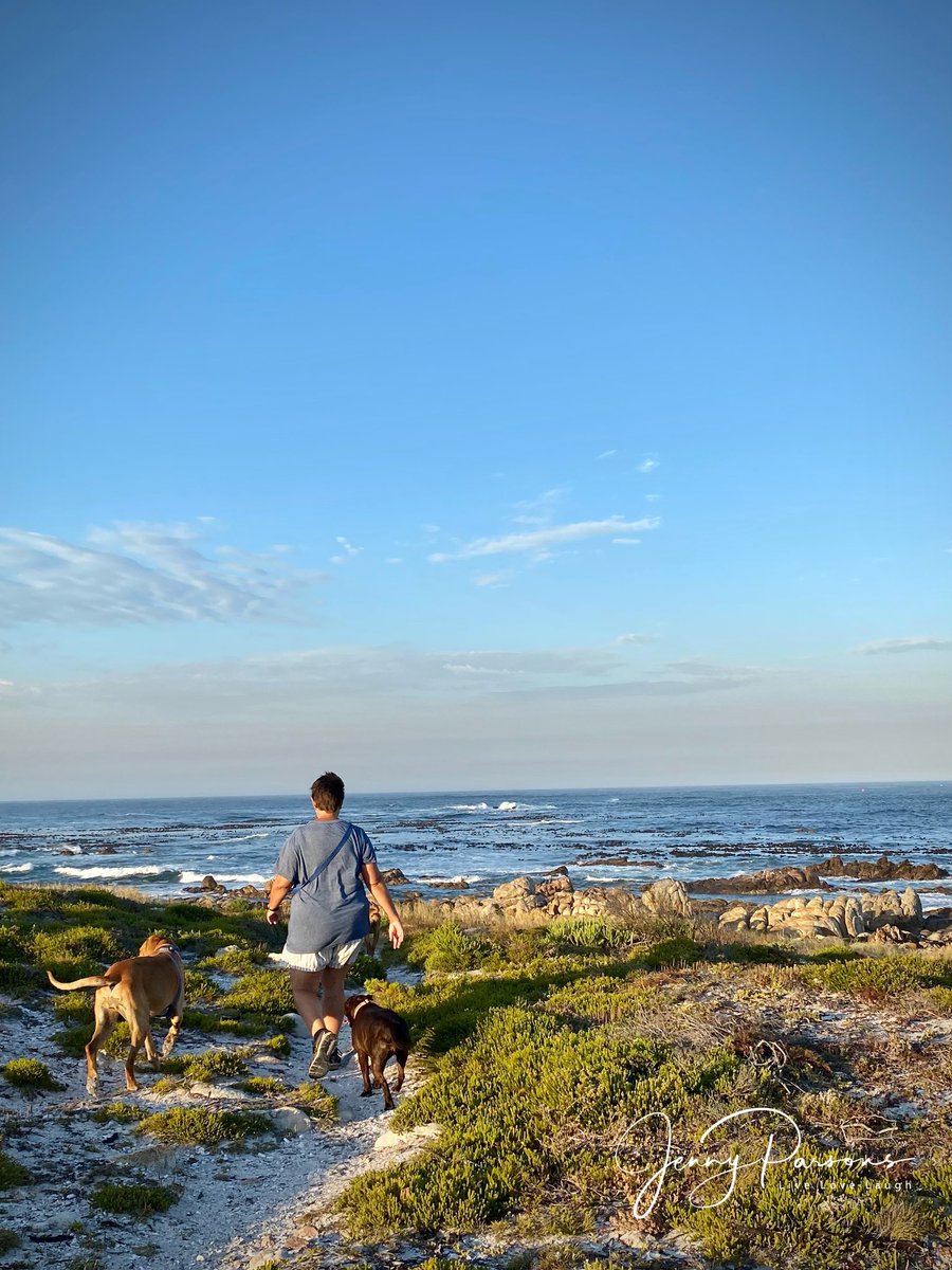 JennyPaPB's tweet photo. Dawn patrol to escape the heatwave the Cape is experiencing! Dogs swam, gentle breeze allowed us to breathe the salty air - the day promises to be another scorcher of 38C in Pringle
#dawn #walkingthedog #lighthousewalk #coastalpaths #pringlebayfynbos #thisiswhyilivehere https://t.co/2VmjnFsh9y