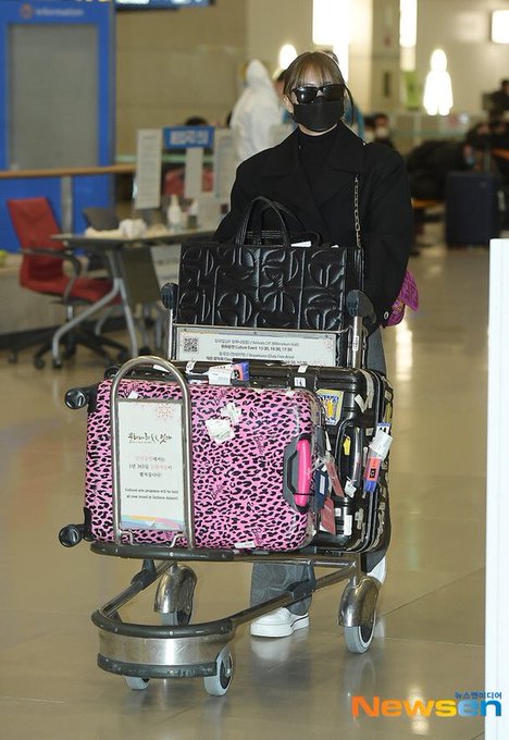 Twiceモモの犬の名前はブーとドビーで愛犬の種類は ホットな韓流情報ブログ Hot Summer Nights