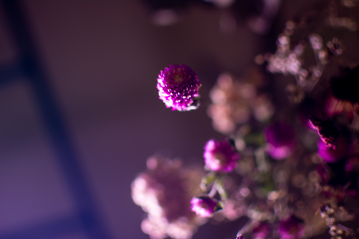 花と緑のお店 Greenmind Greenmind87 Twitter