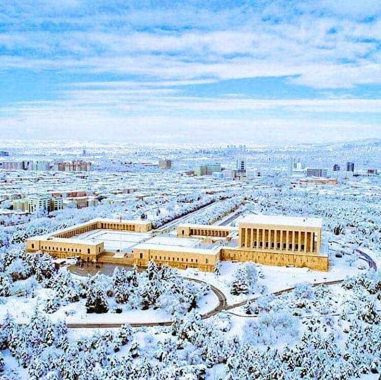 btonga's tweet image. 