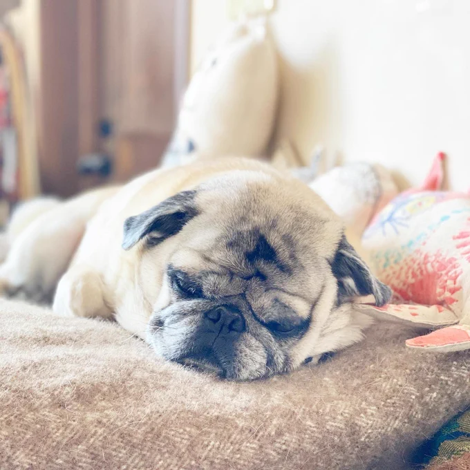 zzz 