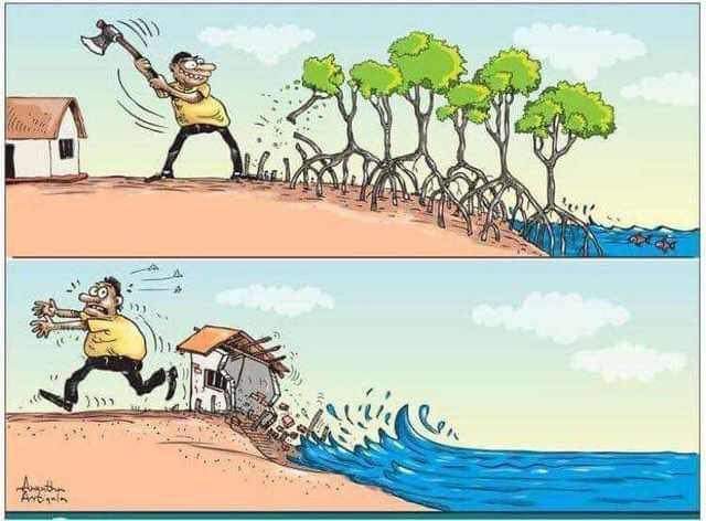 a_kilimo's tweet image. Sunday Wisdom
Coming Soon; The GreenScore: An Innovation of AGriKilimo @GreenScoreLine 

Watch This Space... 
#GreenFarms, #GreenVersities #GreenCities