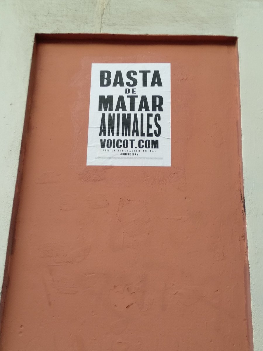 DIA 247‼️
Esperant resposta de la consellera responsable
<a href="/TeresaJorda/">Teresa Jordà</a> 
Que penses fer per acabar amb el maltractament animal???
SURT AL CARRER, MIRA I ESCOLTA A LA GENT