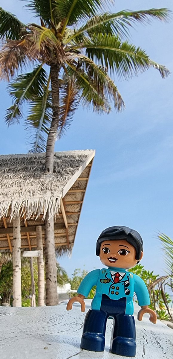 My favorite spot in Hulhumale, to sit, read, contemplate on life and soak up the beauty of nature..on an unnaturally made island.

Love the foiiy gadiyaa hut, look how it's embedded the palm into its architecture ❤️🌴