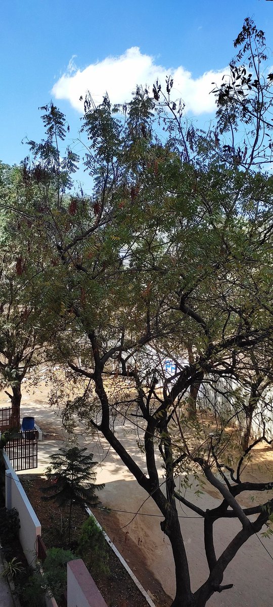 Sreenivas Muppalla tweet media