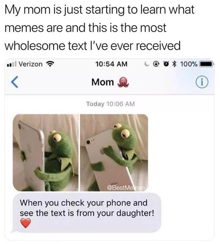 WholesomeMemes tweet media