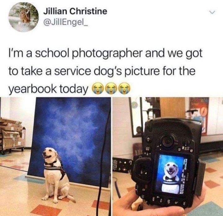 WholesomeMemes (@wholesomememe) on Twitter photo 