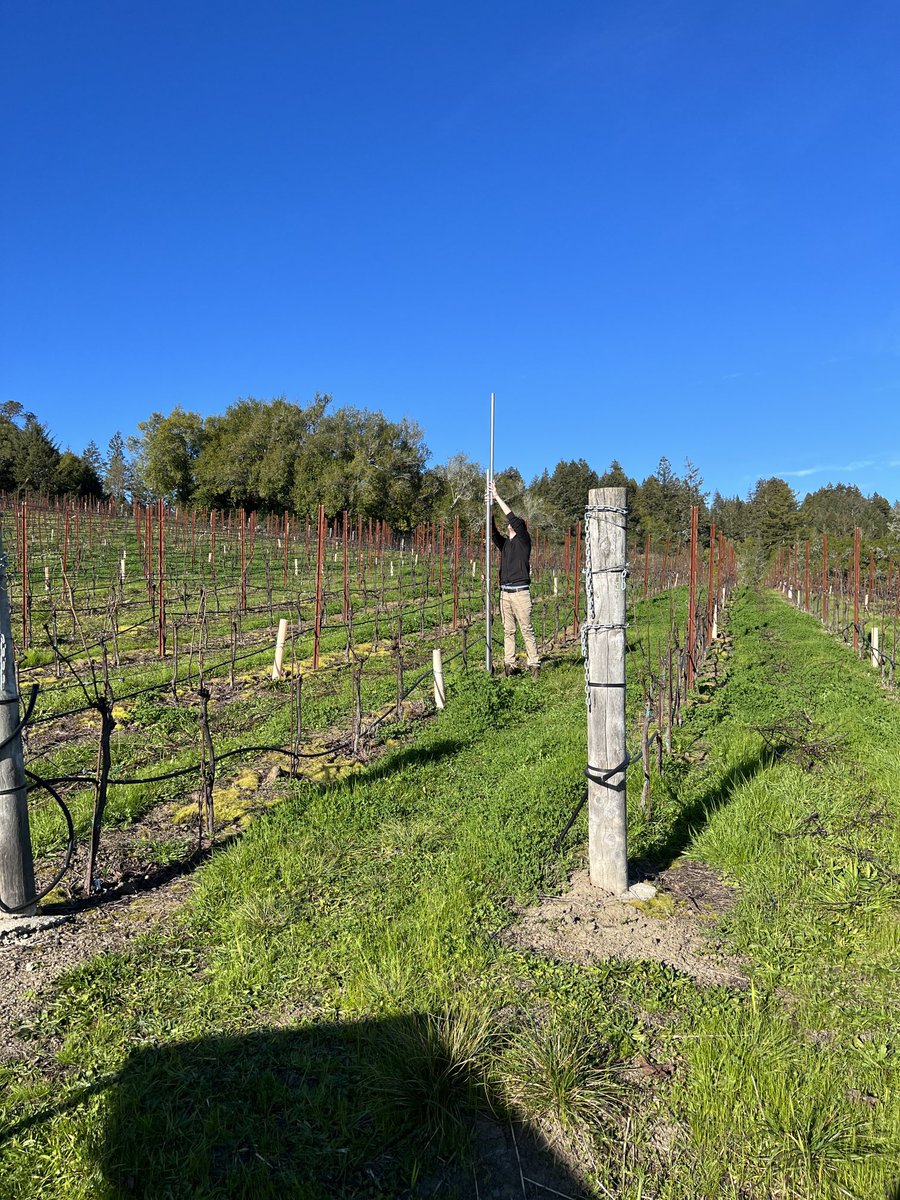 Installing a research-grade weather station at Doc’s Ranch Vineyard this spring! Will provide real time temperature, rainfall, wind speed &amp; direction, evapotranspiration, and soil moisture data from anywhere in the world. #sustainability #FishFriendlyFarming #organicviticulture