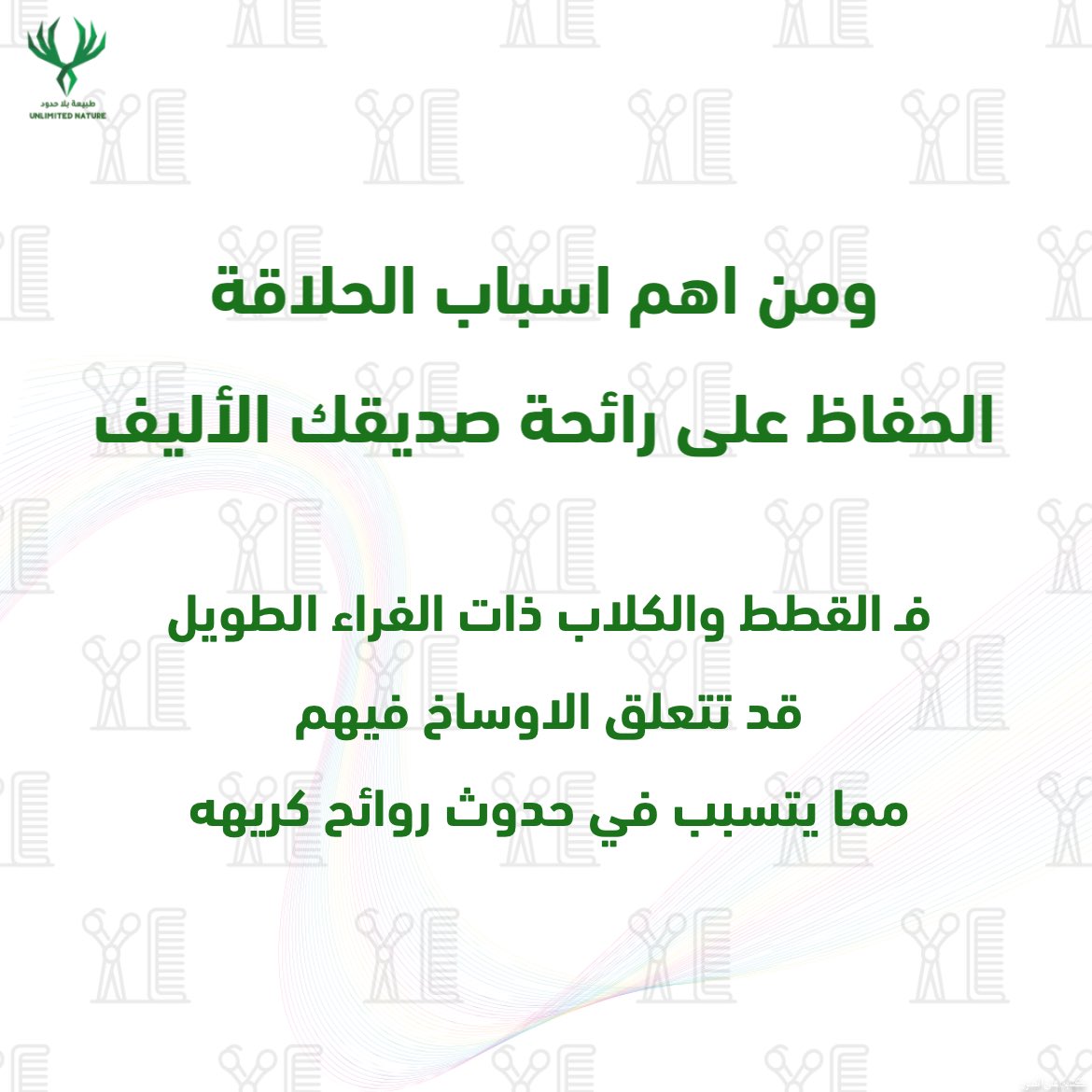 طبيعة بلا حدود tweet media