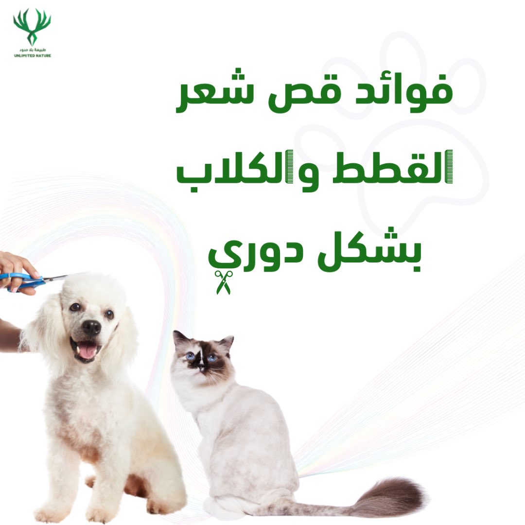 طبيعة بلا حدود tweet media