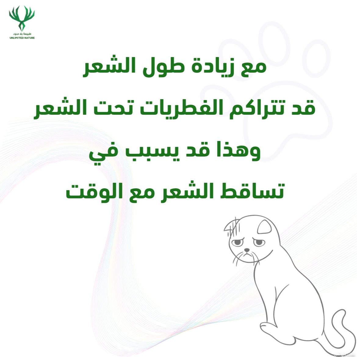 طبيعة بلا حدود tweet media