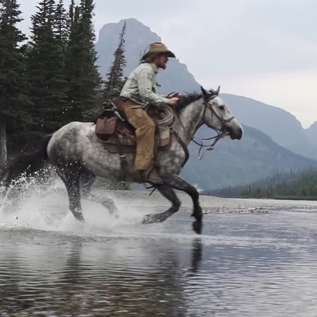 DesDocus's tweet image. Unbranded 

Réalisé par Phillip Baribeau (2015)

Quatre hommes et les 16 mustangs sauvages qu'ils ont adoptés, entreprennent un long voyage à travers l'Ouest américain. Une aventure de cow-boy à travers des décors époustouflants.

youtube.com/watch?v=swX4BL…