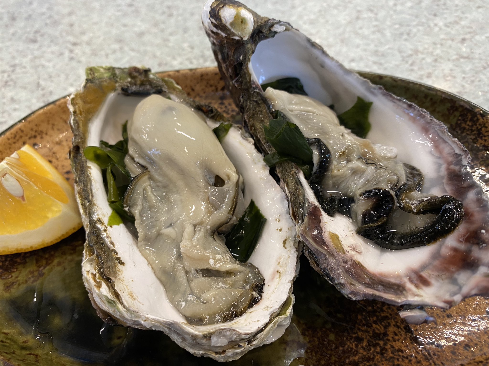 تويتر Blue على تويتر 生牡蠣 3倍体食べ比べ オススメされると断らないようにしている 徳島 うずしお食堂 T Co 7vnsmkbbxa