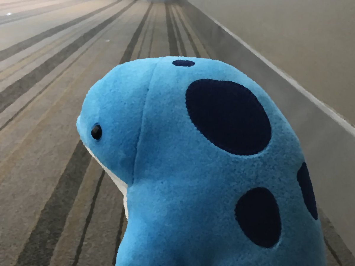 DailyQuaggan's tweet photo. "No, quaggan is certain quaggans are in the right place. Coolin told quaggan specifically that Coolin's #GW2EOD special preview was at #PAXSouth today." #GuildWars2 #GW2 https://t.co/JC1kh4Jb1g