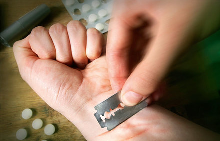 Snans (@snansgar) on Twitter photo 