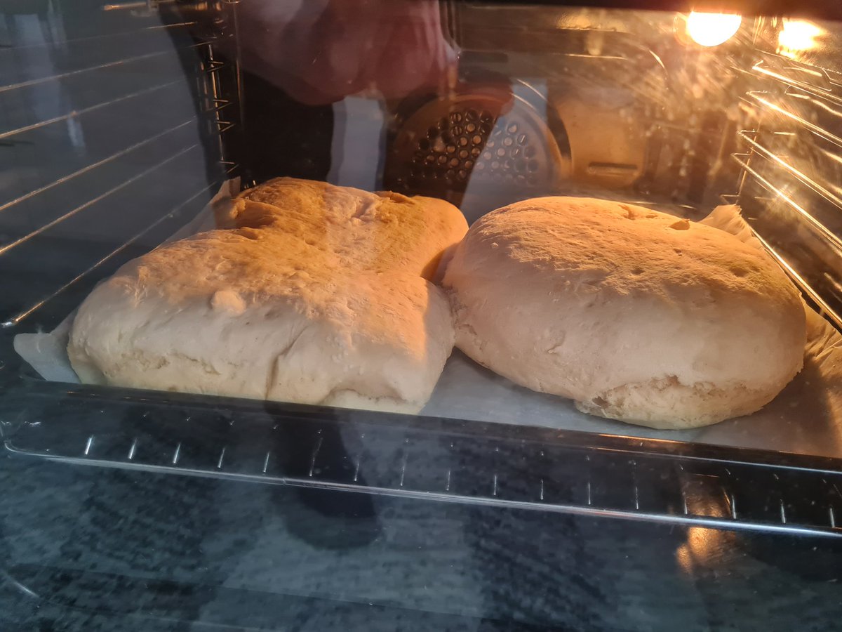 Petar Marković tweet media