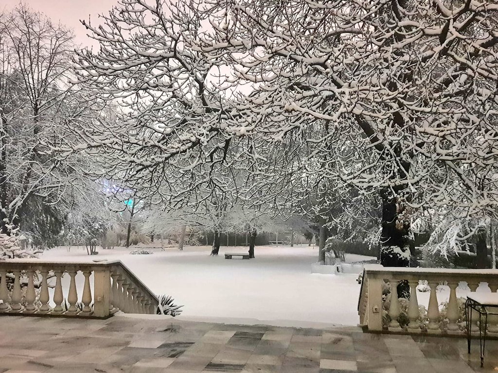 BelgiumAnkara's tweet photo. Ankara is covered in snow ! ❄ But at the residence of our Ambassador, special guests 🐈 enjoy Belgian warmth and hospitality 🇧🇪 https://t.co/JLm6tBVhtQ