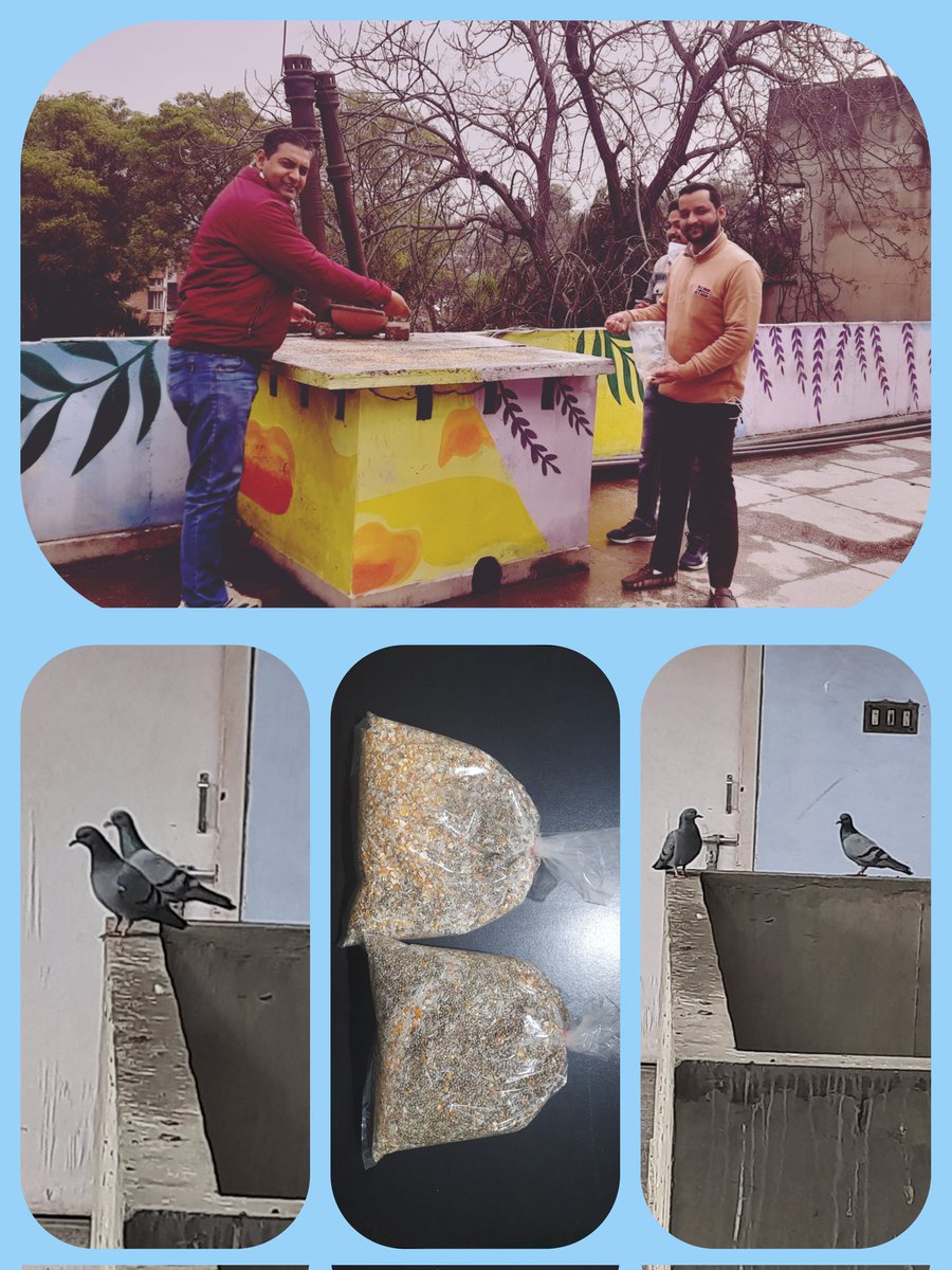 drjeetenderpau's tweet photo. We must thank God for giving us Strength to do something good &amp; to get associated with #MotherNature. 

Its #ExtremeWinter &amp; #RainedHeavily in Punjab yesterday so gave #MultipleGrainFood  to the Birds.

I am #ThanksfulToGod that he gave me an idea to #MotivateOthersAlso. https://t.co/ExXomh0t1t