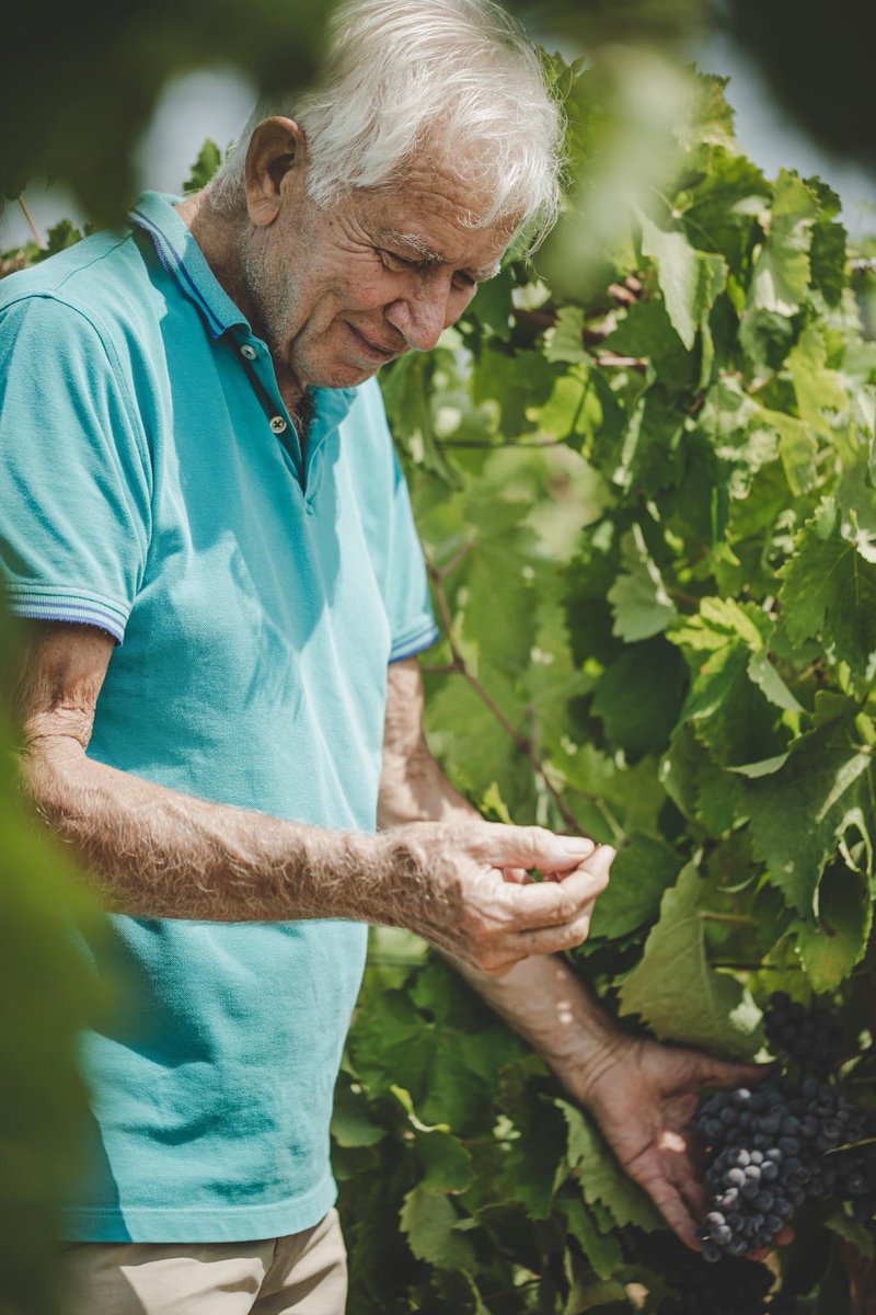 Siamo davvero felici di annunciare che l'Università di Reggio Calabria ha conferito il 𝐝𝐨𝐭𝐭𝐨𝐫𝐚𝐭𝐨 𝐝𝐢 𝐫𝐢𝐜𝐞𝐫𝐜𝐚 𝐡𝐨𝐧𝐨𝐫𝐢𝐬 𝐜𝐚𝐮𝐬𝐚 𝐢𝐧 𝐒𝐜𝐢𝐞𝐧𝐳𝐞 𝐀𝐠𝐫𝐚𝐫𝐢𝐞, 𝐀𝐥𝐢𝐦𝐞𝐧𝐭𝐚𝐫𝐢 𝐞 𝐅𝐨𝐫𝐞𝐬𝐭𝐚𝐥𝐢 a 𝐍𝐢𝐜𝐨𝐝𝐞𝐦𝐨 𝐋𝐢𝐛𝐫𝐚𝐧𝐝𝐢.