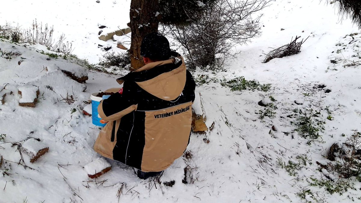 Soğuk ve karlı havada yemek bulmakta zorlanan can dostlarımızı unutmuyor, mama takviyesi yapıyoruz. 🐾

Siz de evlerinizin önüne bir kap su bir kap mama bırakmayı unutmayın...