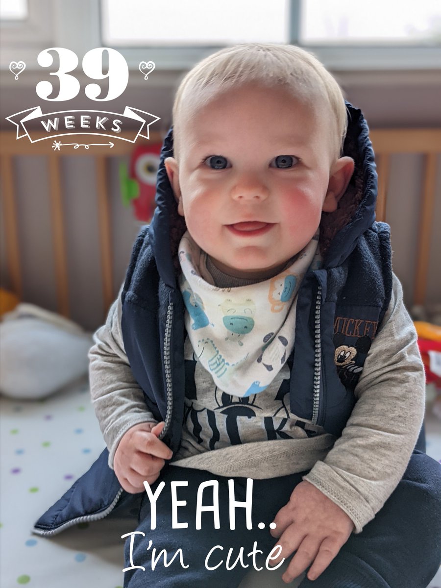 janbartspang's tweet photo. Grateful every day for this little man. I miss his sister every day.

#family #dilatedcardiomyopathy #gonetoosoon #heartbaby #heartbroken #amazingalice #restrictivecardiomyopath #Grief https://t.co/hi4Y58FvGc