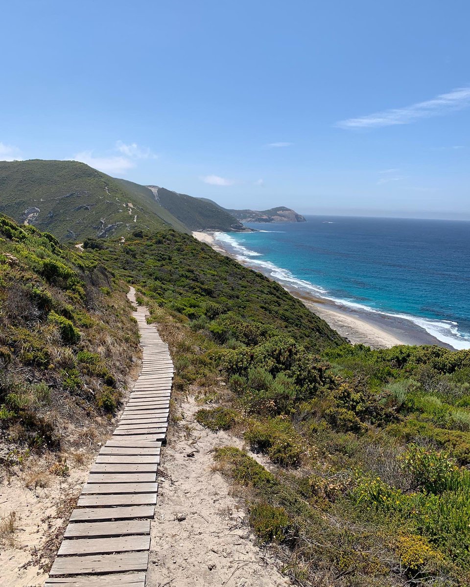 humpdoc's tweet photo. We walked the tough 13km Bald Head trail near Albany today. The spectacular views of the Flinders Peninsula were worth it.👌#destinationWA #lifedownunder🇦🇺 https://t.co/G9mqCxXcl1