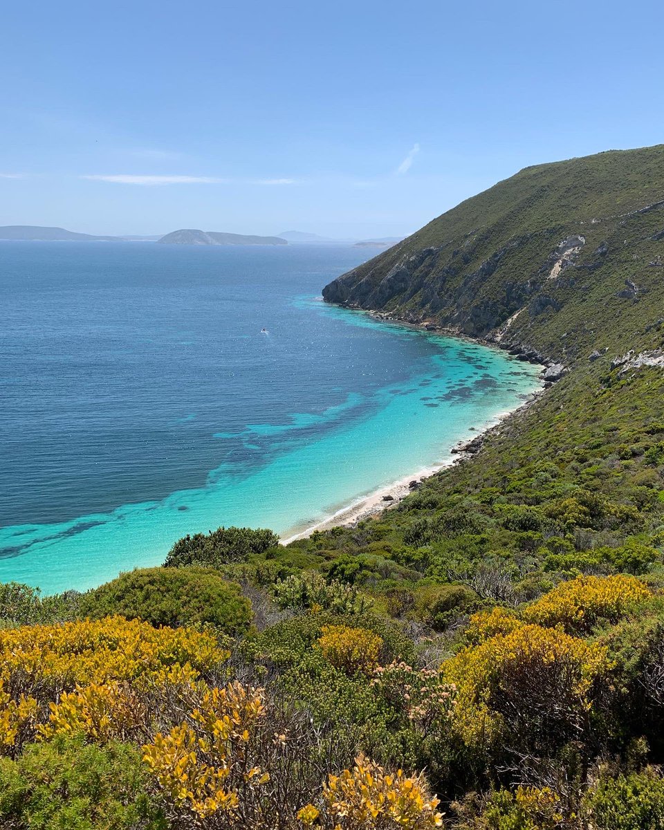humpdoc's tweet photo. We walked the tough 13km Bald Head trail near Albany today. The spectacular views of the Flinders Peninsula were worth it.👌#destinationWA #lifedownunder🇦🇺 https://t.co/G9mqCxXcl1