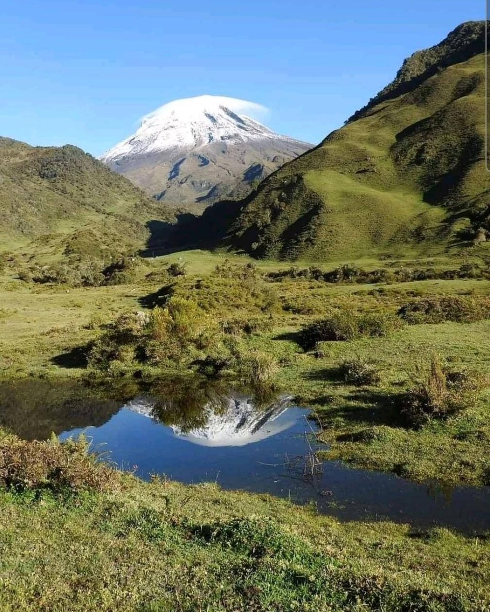 Karl-Frédérick Paul tweet media